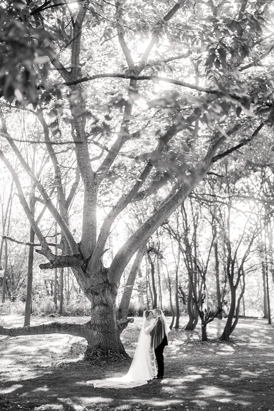 Black and white photo of a newlywed couple sharing a kiss under a large, sunlit tree in a serene forest setting.