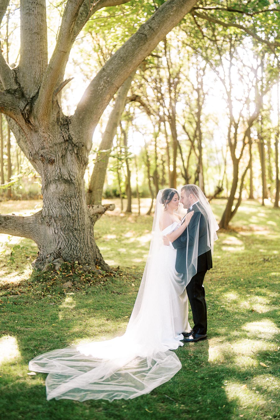 Wedding couple embracing under a large tree in a sunlit forest, with the bride's long veil trailing on the grass.