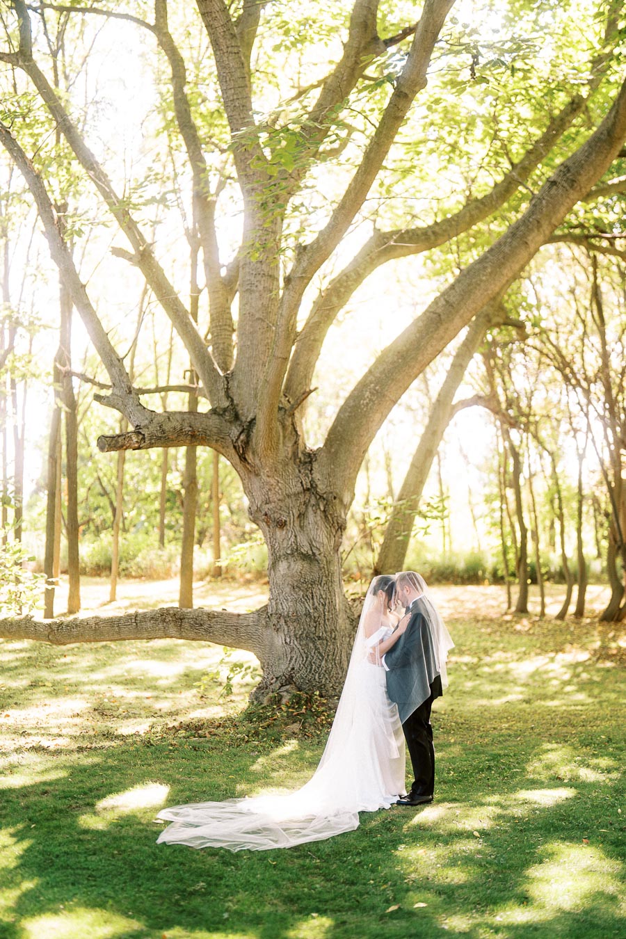 A bride and groom share a romantic embrace under a large tree in a sunlit forest, the bride's veil flowing gracefully on the grass.