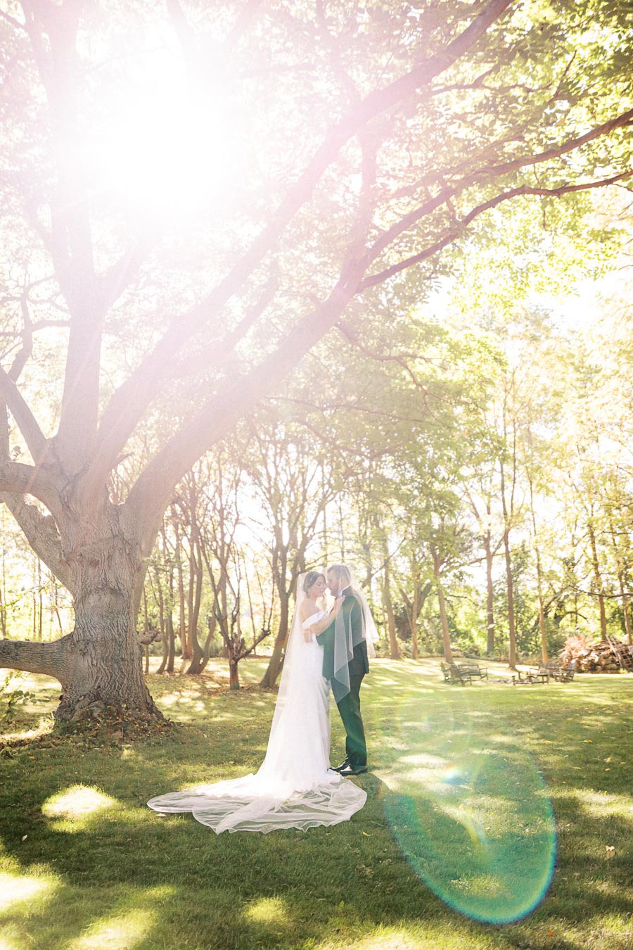 A bride and groom share a kiss under a sunlit tree in a serene park, surrounded by lush greenery.