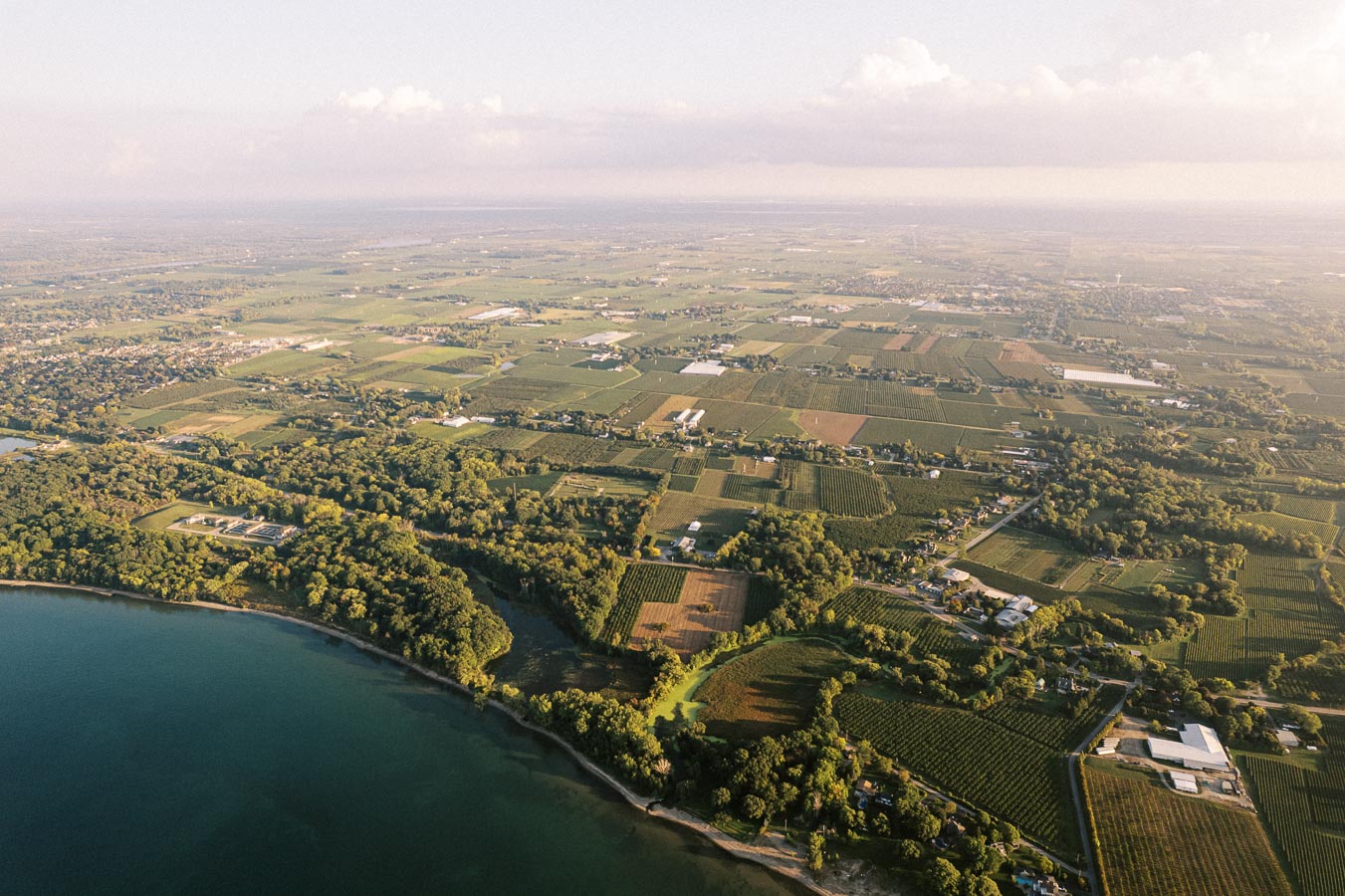 Aerial view of expansive farmland and countryside landscape with lush green fields and a coastline. Small clusters of trees and rural buildings are scattered throughout the scene under a clear sky, ideal for depicting rural life and agricultural settings.