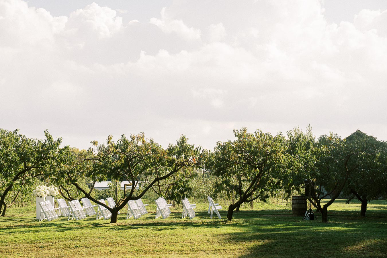 Outdoor rural wedding ceremony setup with white chairs under trees in a sunny orchard, surrounded by lush greenery and a clear sky with soft clouds.