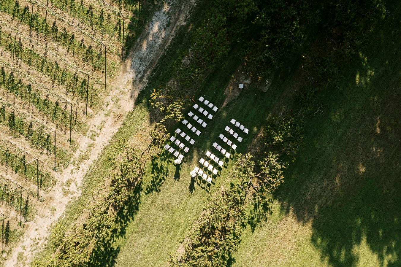 Aerial view of an outdoor wedding ceremony setup on a neatly mowed grassy field surrounded by trees and adjacent to a vineyard, with rows of white chairs arranged in two sections.