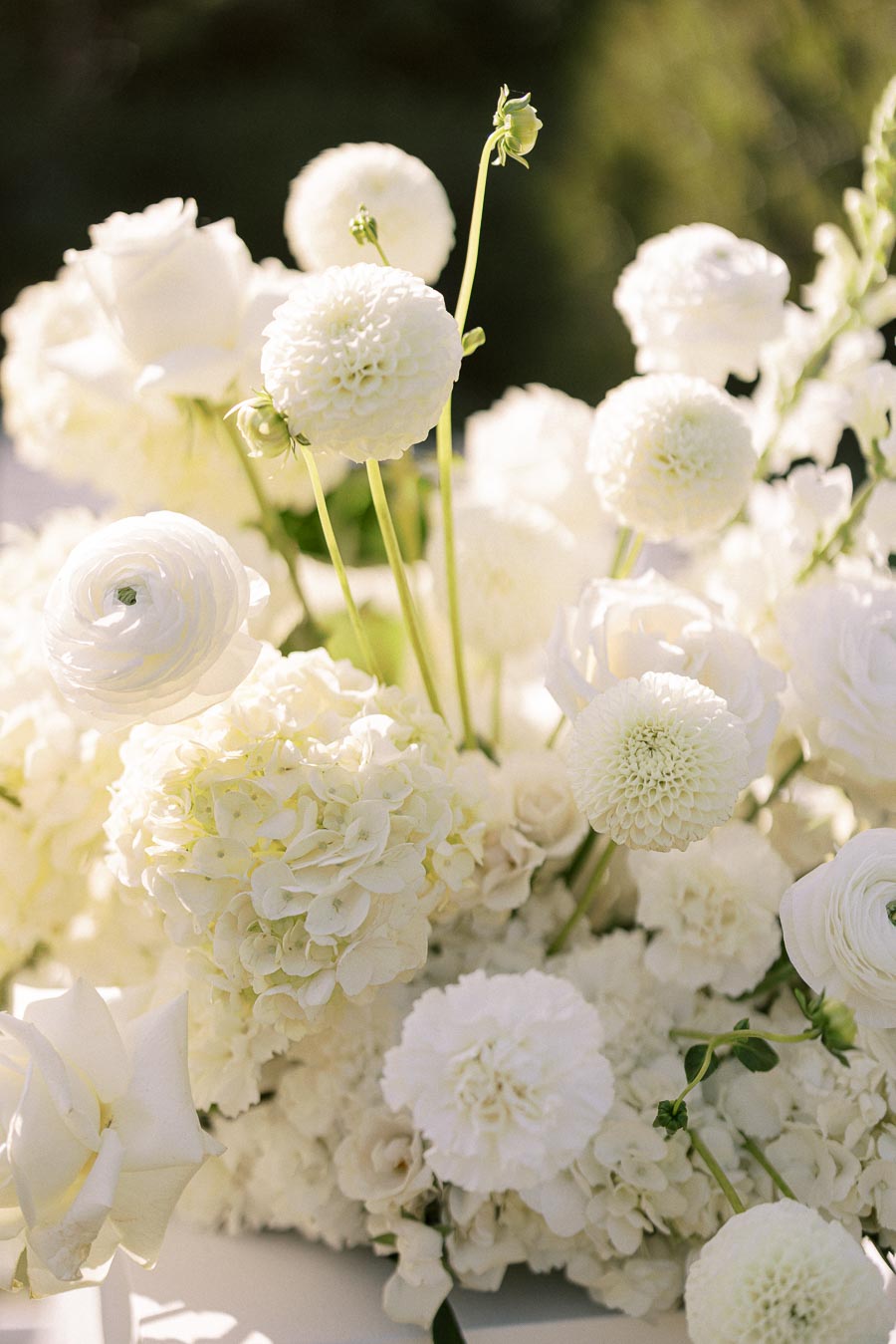 Elegant arrangement of white flowers, including roses, hydrangeas, and dahlias, in soft natural light.
