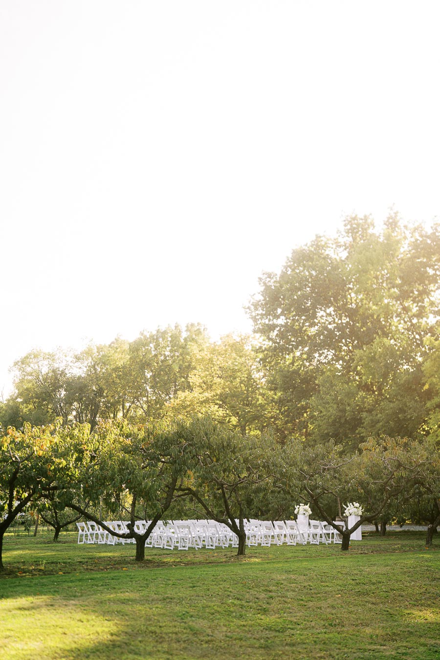 Outdoor wedding ceremony setup with white chairs arranged under lush green trees, bathed in soft sunlight.