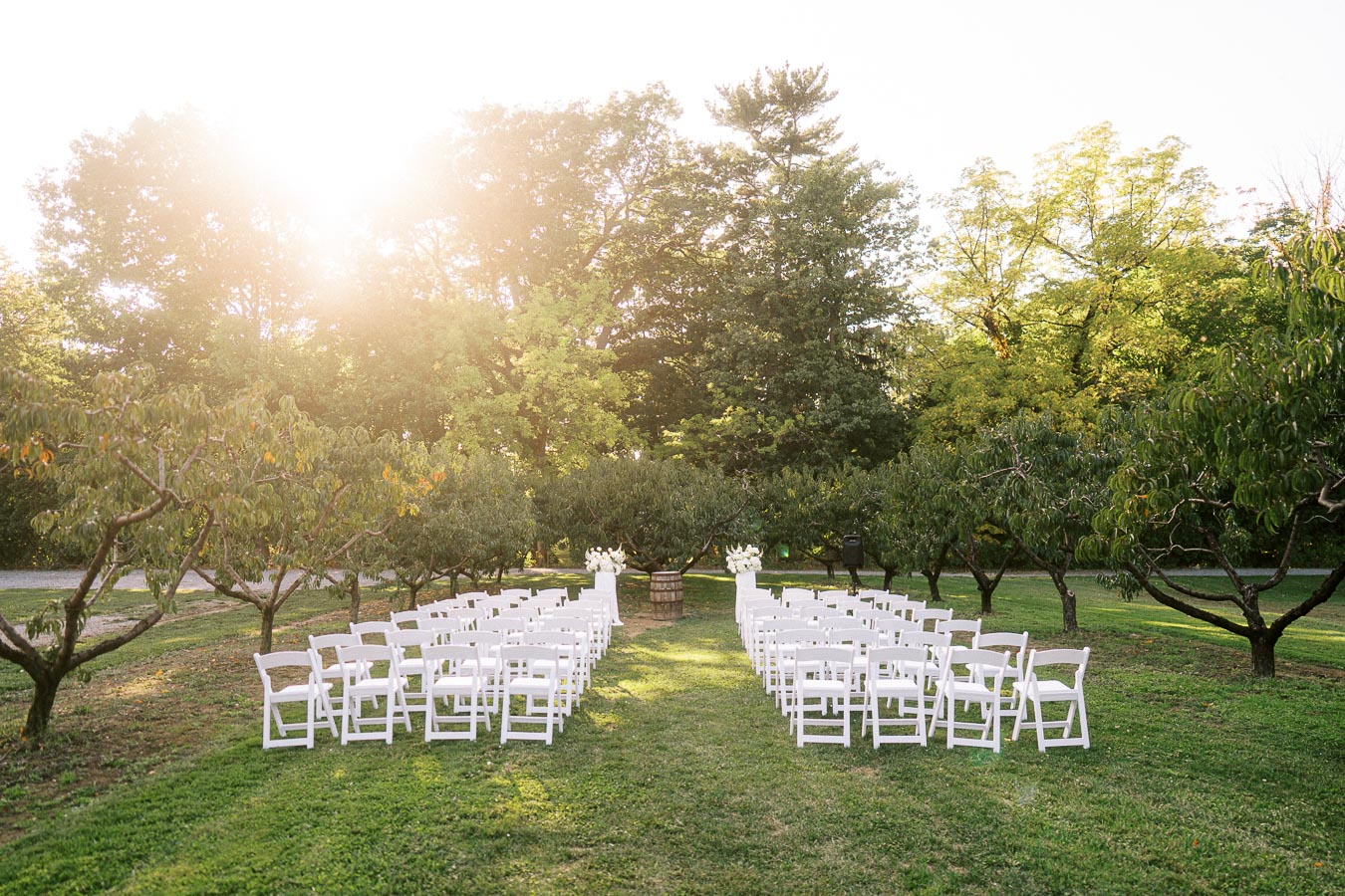 Outdoor wedding ceremony setup featuring rows of white chairs on a grassy aisle, surrounded by lush green trees with sunlight filtering through, creating a romantic and serene atmosphere.