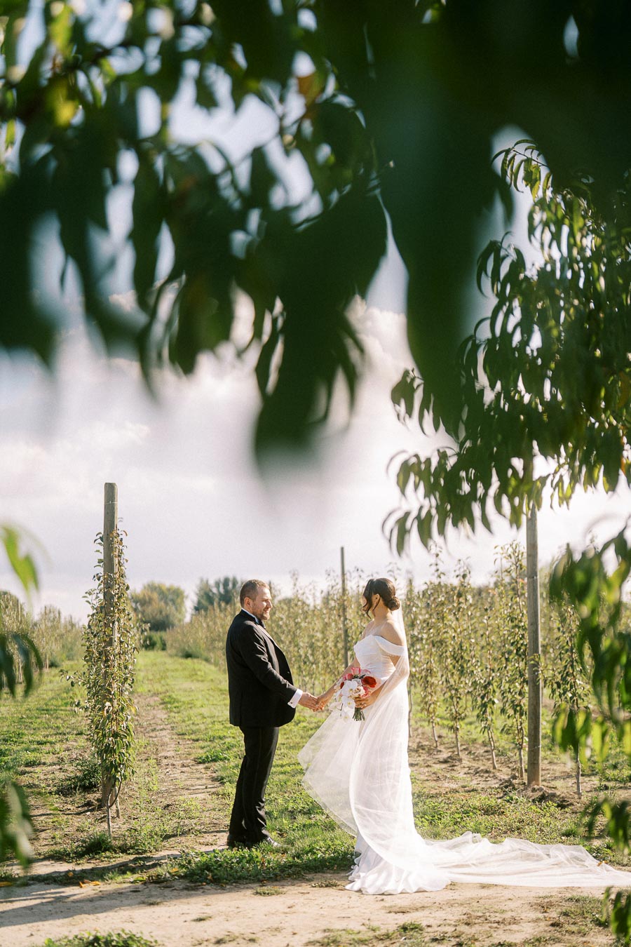 Bride and groom holding hands in a sunlit orchard, surrounded by lush green trees, capturing a romantic outdoor wedding moment.
