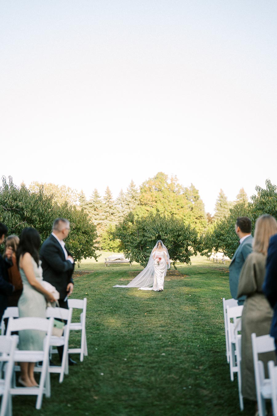 A bride walks down an outdoor aisle surrounded by seated guests, with lush green trees and a clear blue sky in the background.
