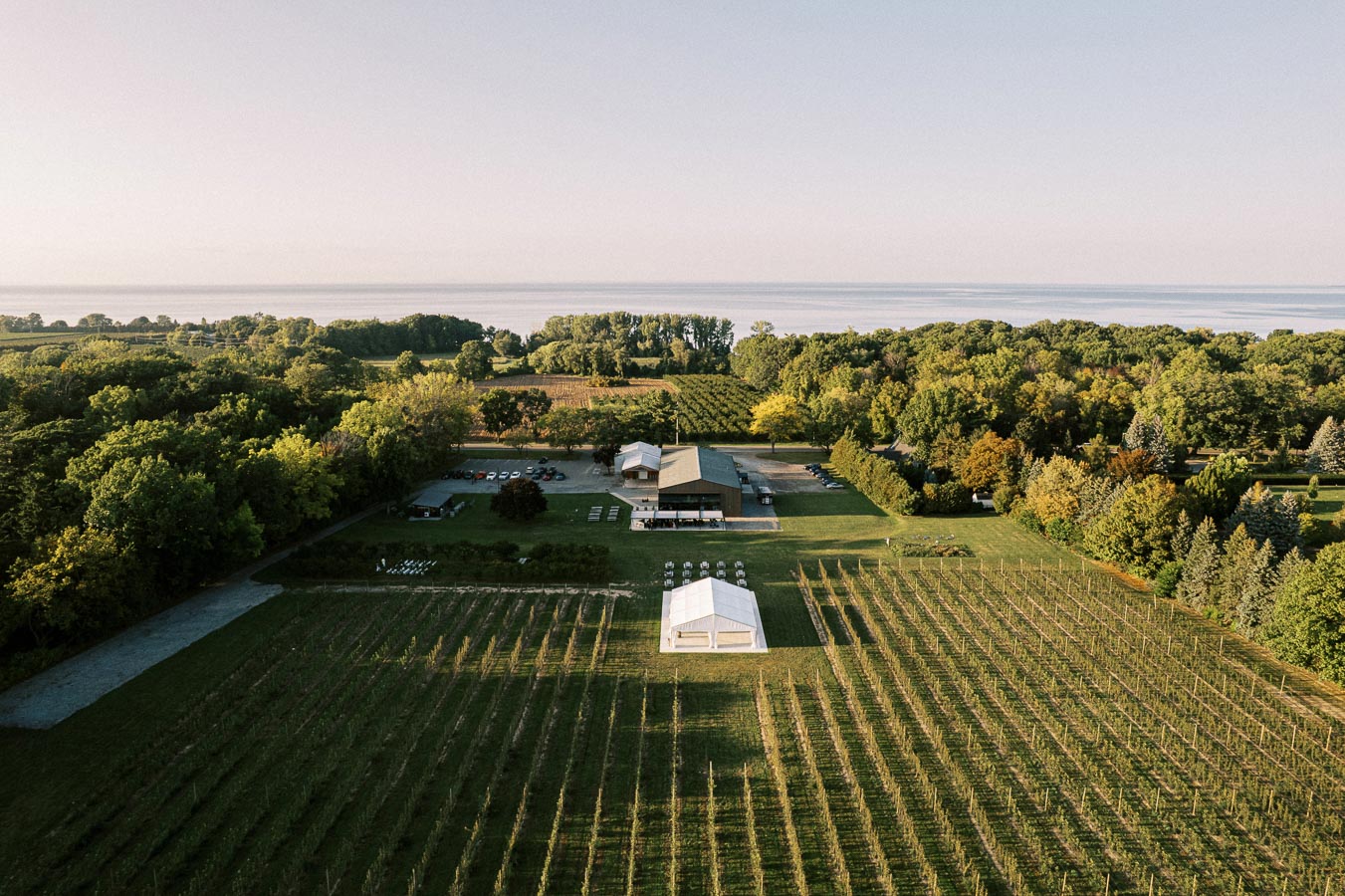 Aerial view of a vineyard estate surrounded by lush greenery and trees, with a large event tent and buildings in the center, overlooking a distant body of water under a clear sky.