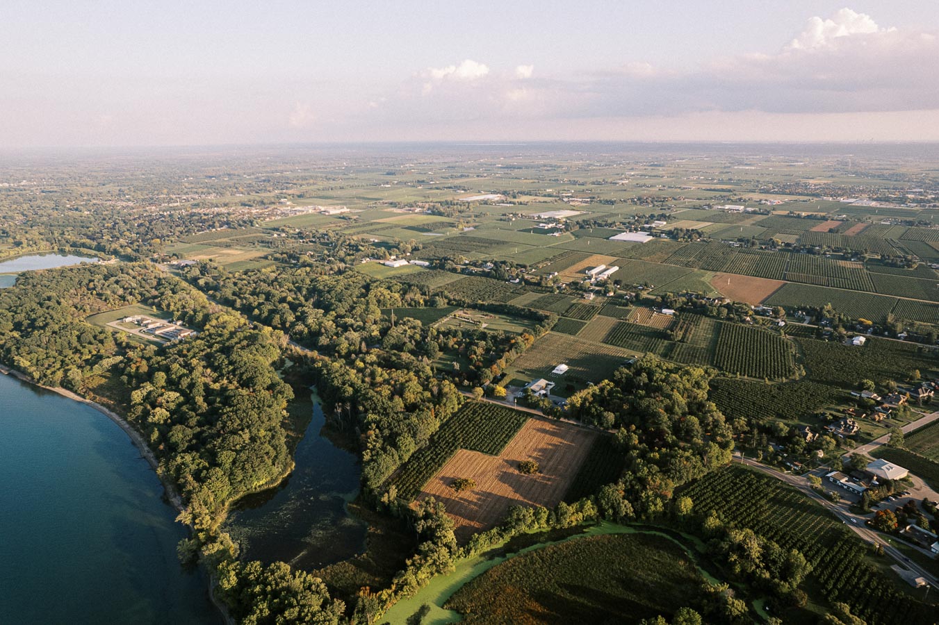 Aerial view of expansive agricultural farmland with lush green fields, dense forests, and a serene lake. This scenic landscape showcases a patchwork of cultivated plots, surrounded by natural beauty under a clear sky, illustrating the harmony between agriculture and nature.