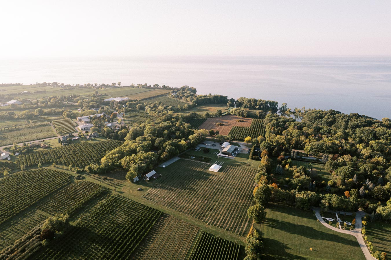 Aerial view of a scenic vineyard landscape near a lake, showcasing lush green fields, vineyards, and surrounding trees under a clear sky.