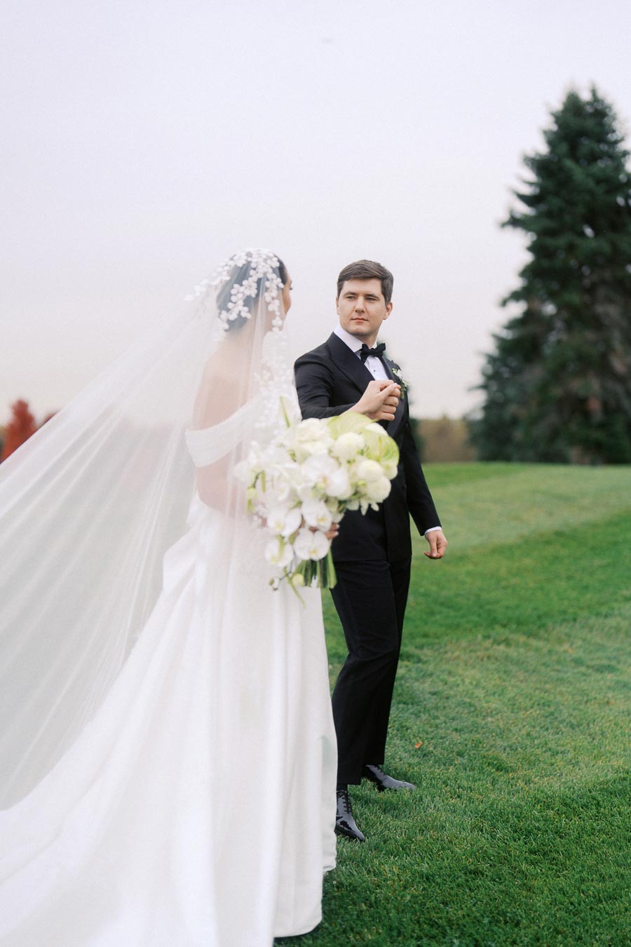 Elegant wedding couple holding hands on a grassy field, with the bride in a flowing white gown and veil, and the groom in a classic black tuxedo.