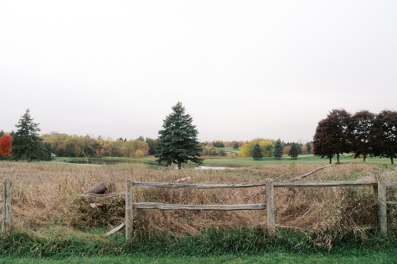 A serene landscape featuring a rustic wooden fence in the foreground, with a lush green field and diverse trees displaying autumn colors in the background, under an overcast sky.
