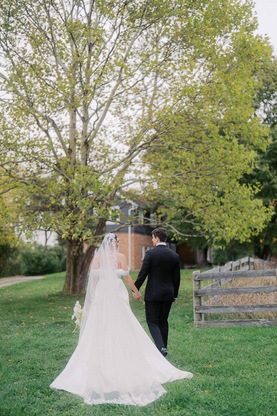 Bride and groom holding hands walking across green lawn with a large tree and rustic wooden fence in background.