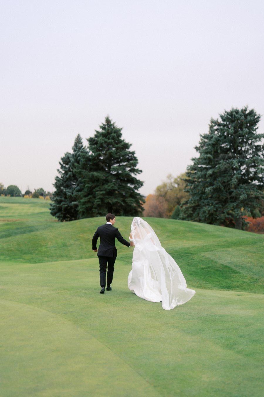 Bride and groom walking hand in hand across a grassy landscape, surrounded by lush green trees on a clear day.