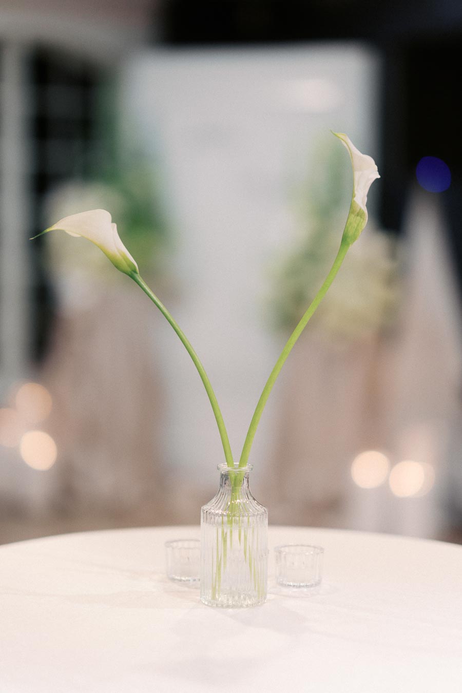 Two elegant calla lilies in a small glass vase on a white table, with a softly blurred background.