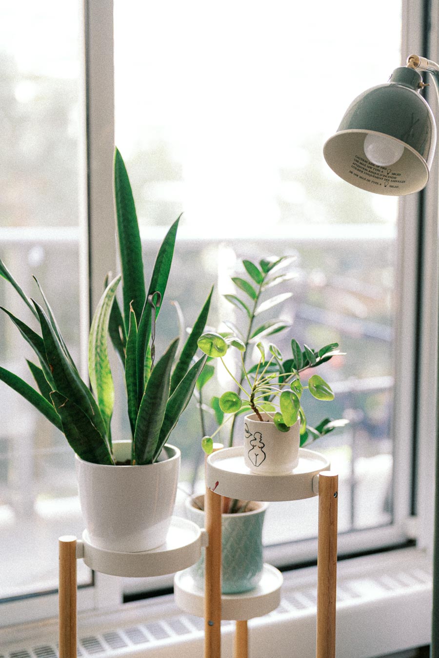 Indoor plants on a wooden stand near a bright window, featuring a snake plant and other greenery in decorative pots, accented by a modern floor lamp.