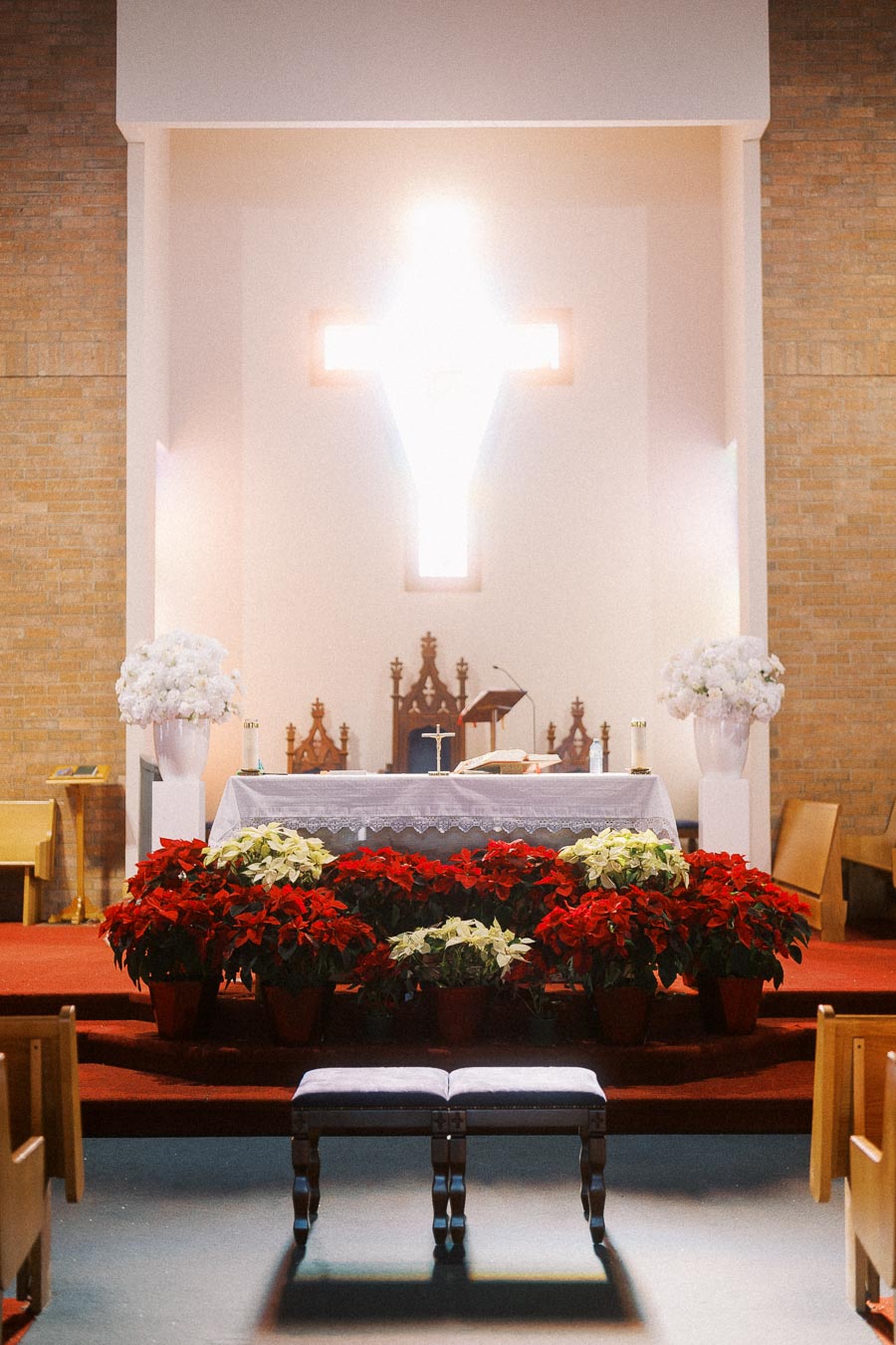 Church altar adorned with red and white poinsettias, featuring a bright cross and wooden pews, ideal for religious services and celebrations.