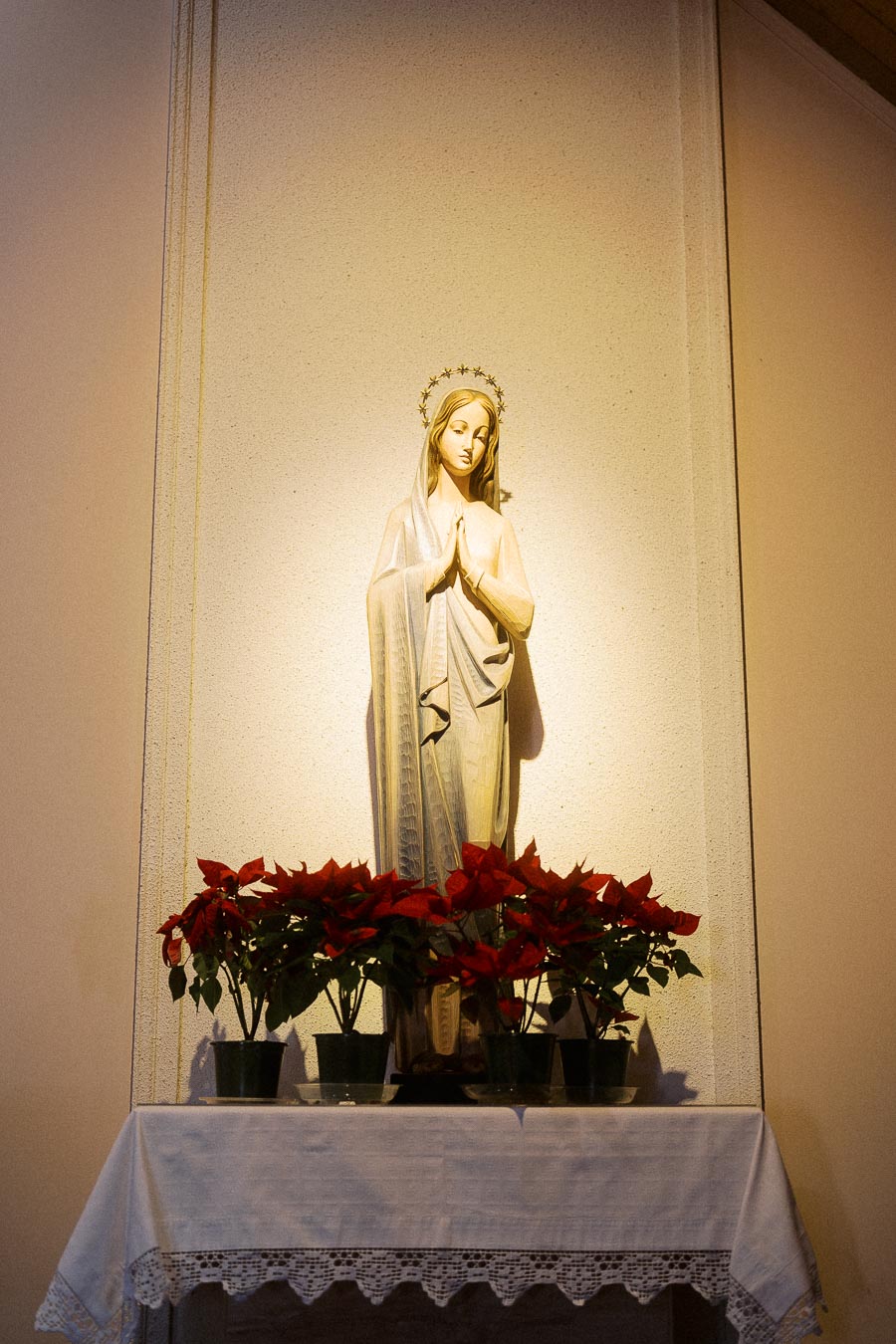 Statue of the Virgin Mary in prayer, adorned with a halo of stars, positioned on an altar with vibrant red poinsettias.