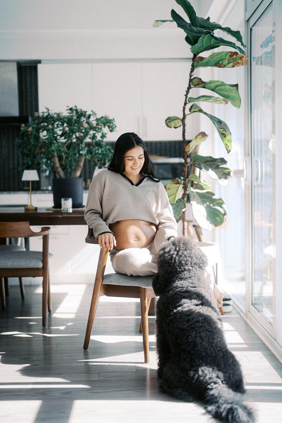Pregnant woman sitting on a chair in a bright, modern living room, smiling at a large fluffy dog. She is wearing comfortable casual clothes, showcasing her baby bump, and surrounded by green indoor plants.