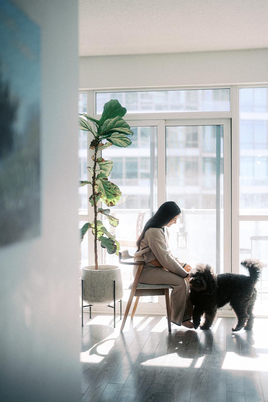 Woman sitting in sunlit modern living room with large potted plant, interacting with a curly-haired black dog by glass patio doors.