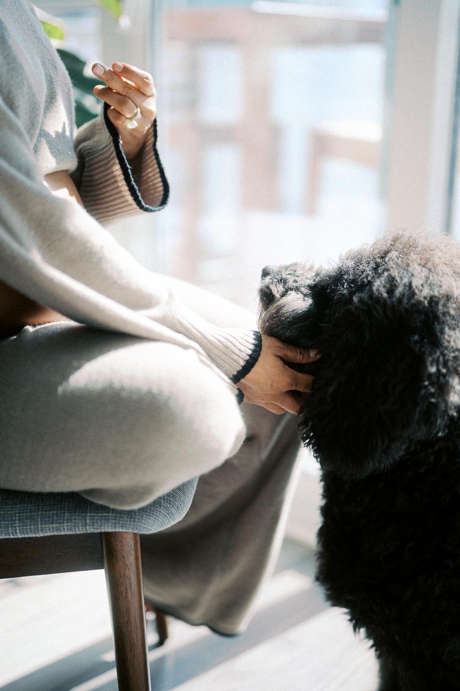 Person sitting in a cozy setting petting a black fluffy dog indoors.