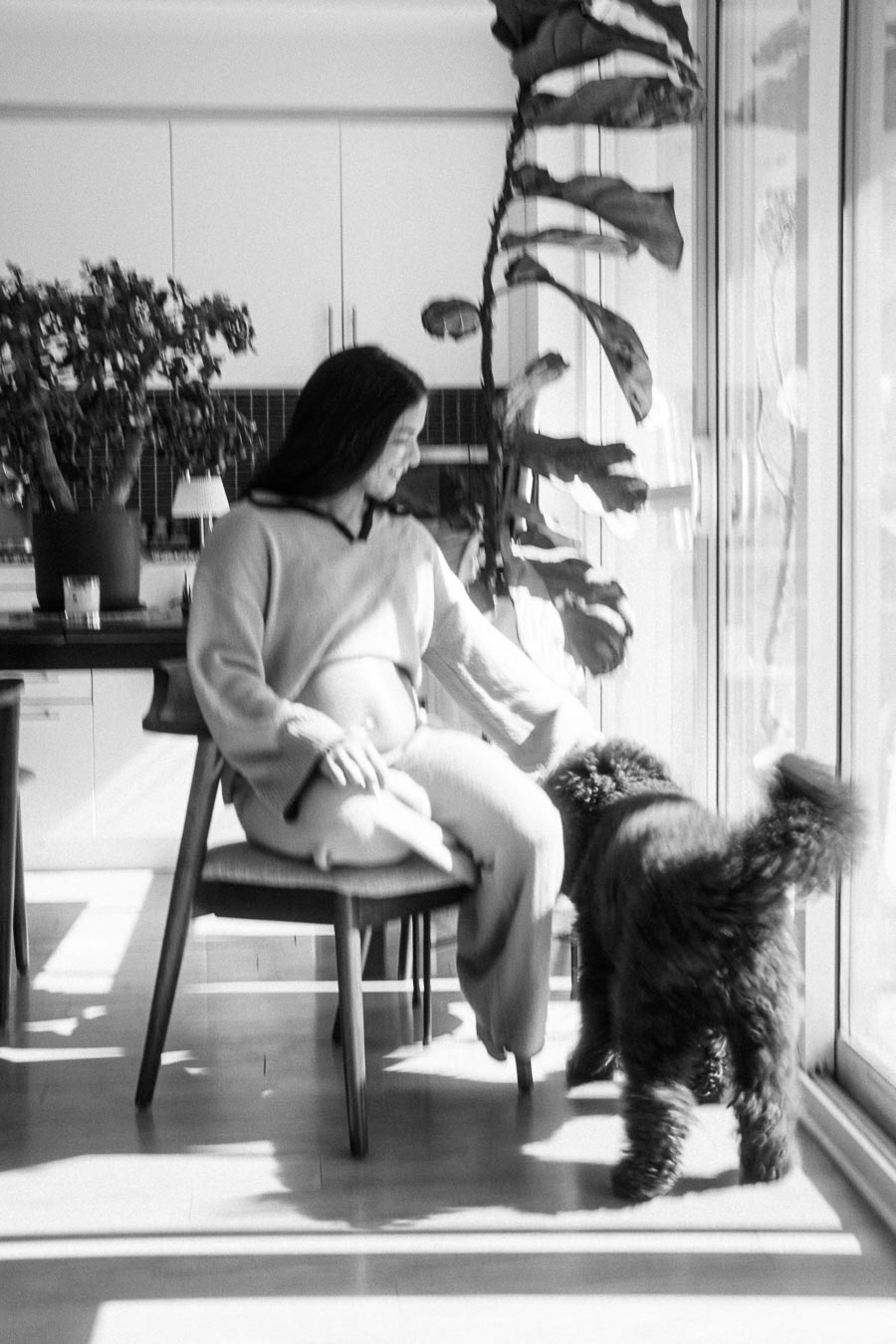 Black and white photo of a person sitting on a chair indoors, smiling at a furry dog by a large window, with sunlight streaming in and plants in the background.
