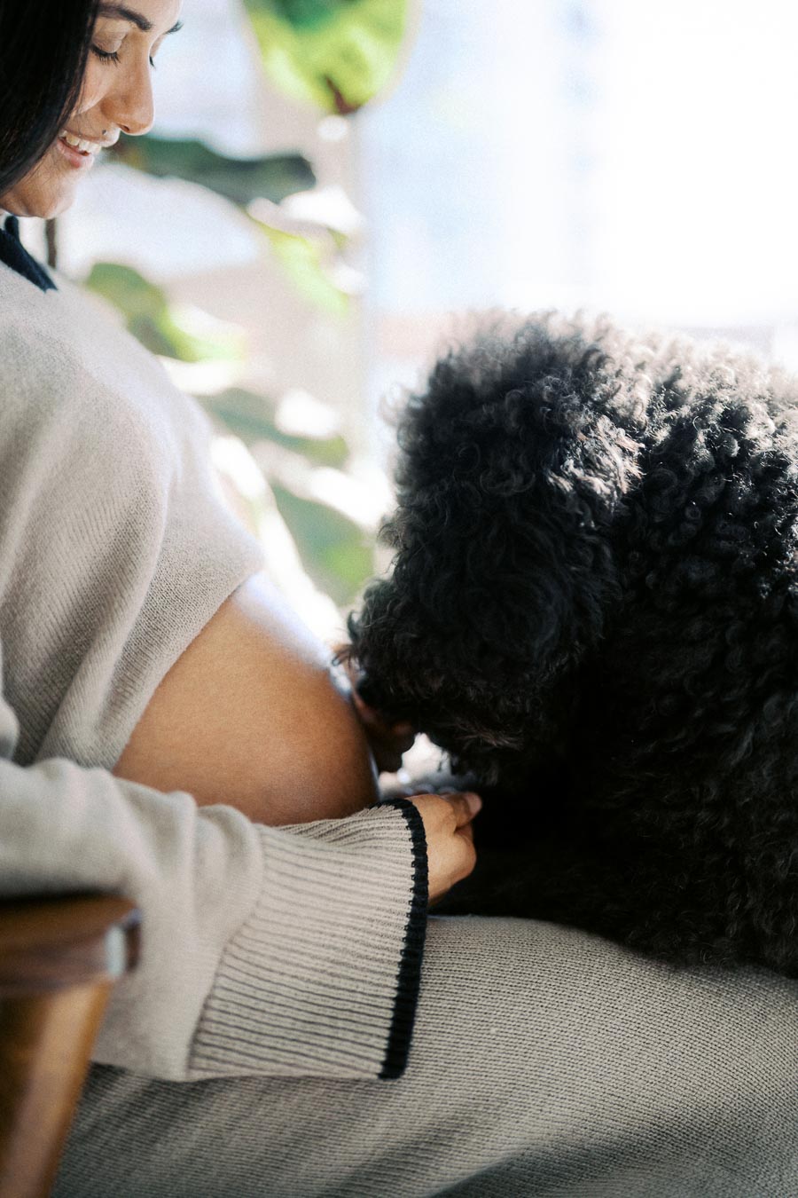 Pregnant woman smiling at her curly-haired dog gently resting its head on her baby bump.