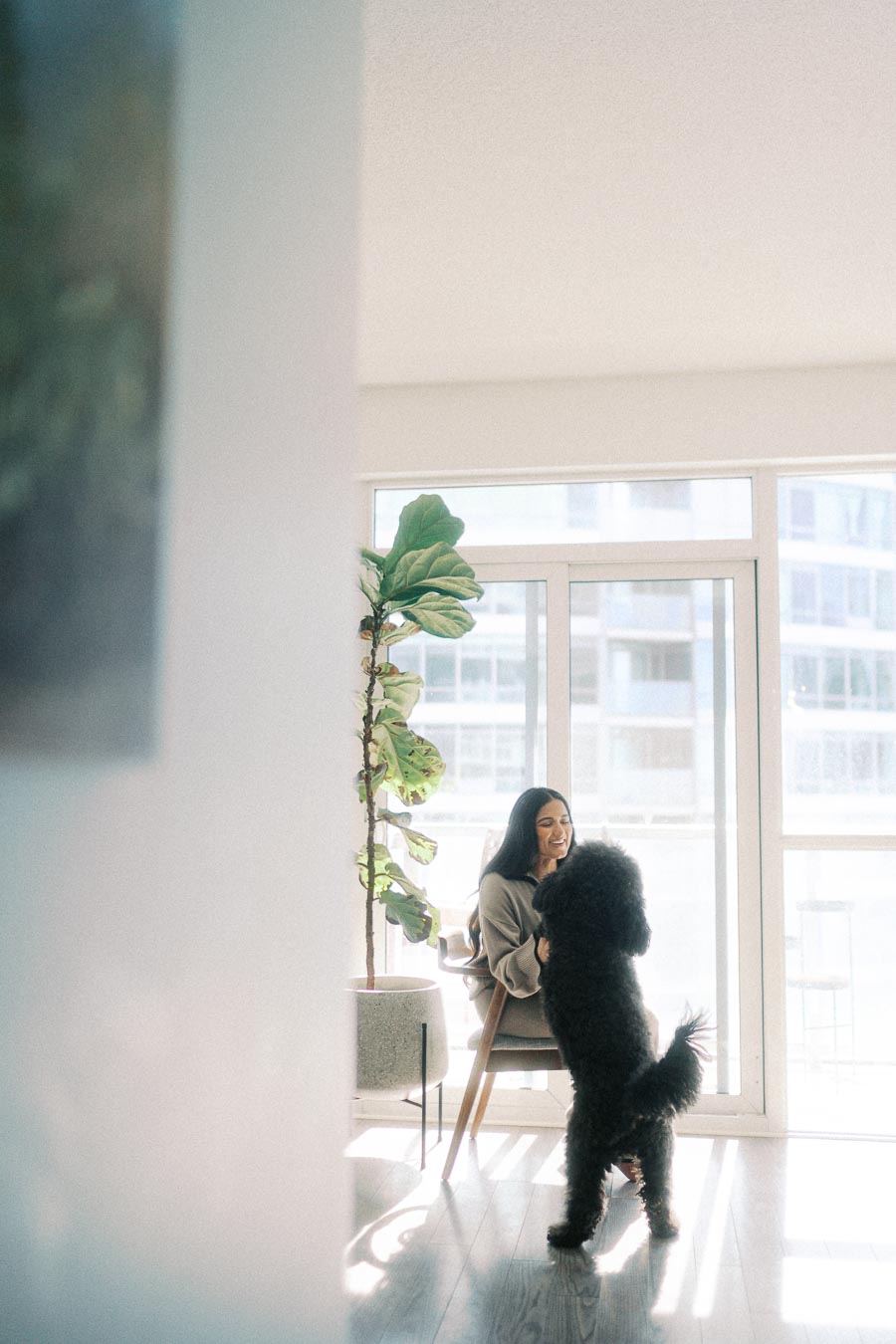 Woman sitting indoors with a large black dog standing on its hind legs, by a bright window and a fiddle leaf fig plant.