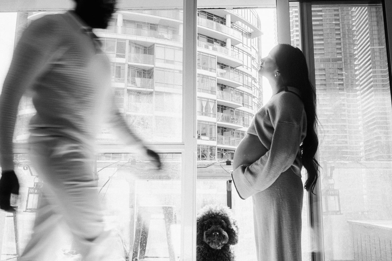 Black and white photo of a pregnant woman standing near a window with a cityscape view, a blurred figure walks by, and a fluffy dog looks up.