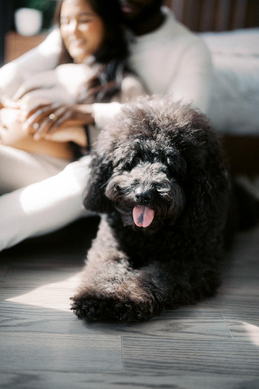 A fluffy black dog lying on a wooden floor, with a couple sitting in the background. One of the couple has their hands resting on the other’s midsection, suggesting a tender moment. The scene is warm and relaxed, with natural light streaming in.