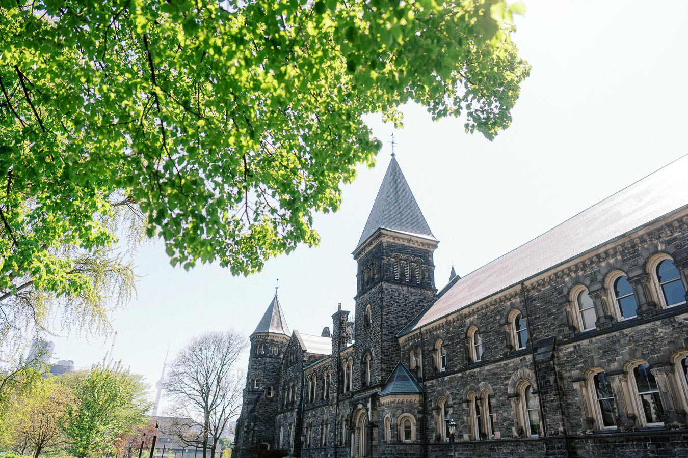 Sunlight shines on historic stone building at University of Toronto, framed by vibrant green spring leaves and clear sky.