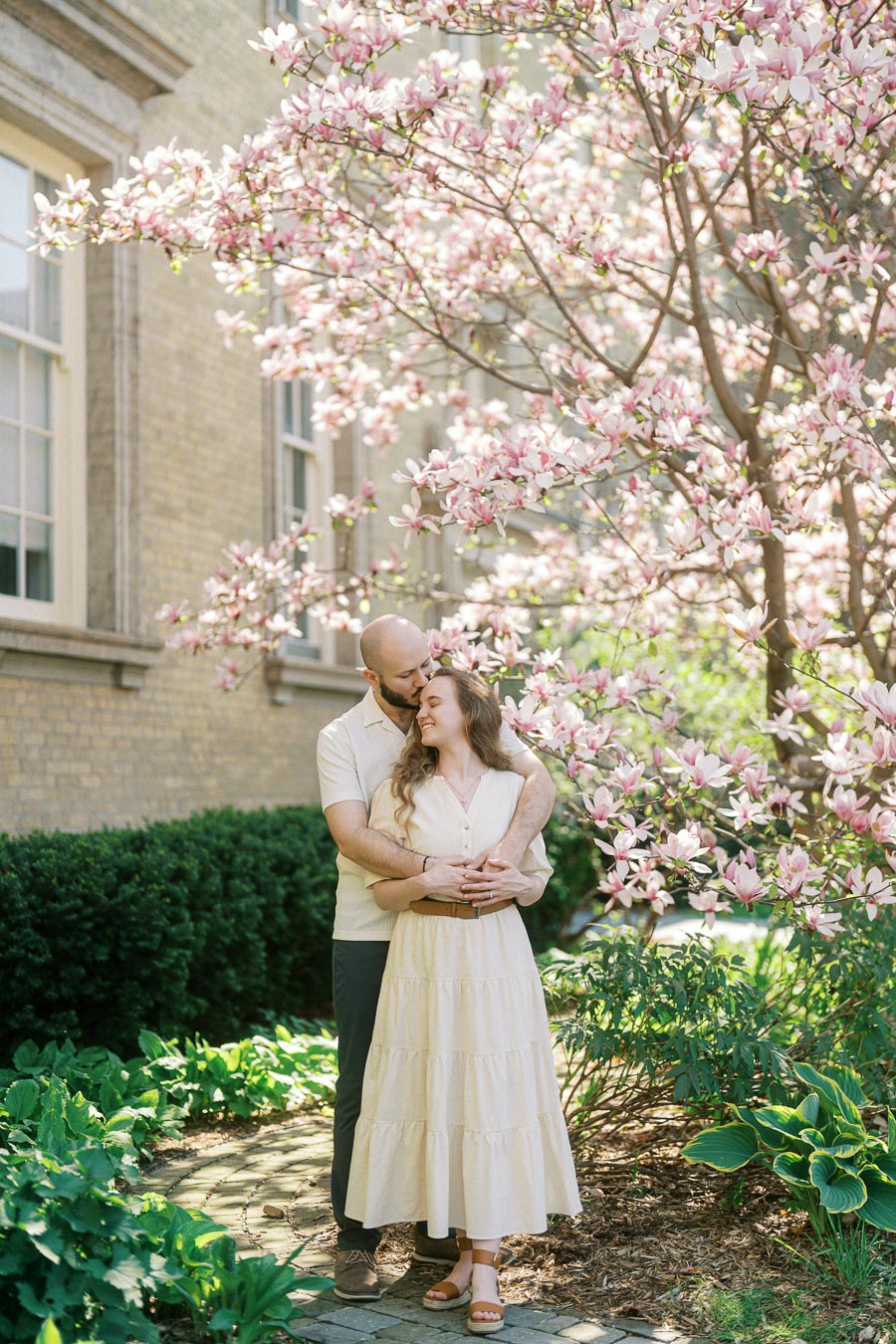 Couple embraces under blooming magnolia tree on a sunny spring day at the University of Toronto campus, surrounded by historic architecture and greenery.