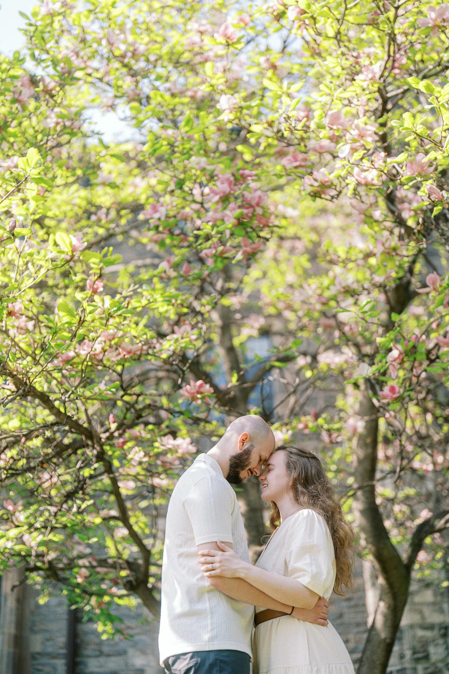 Engaged couple embraces under blooming pink magnolia trees in a sunlit University of Toronto courtyard, radiating love and joy.