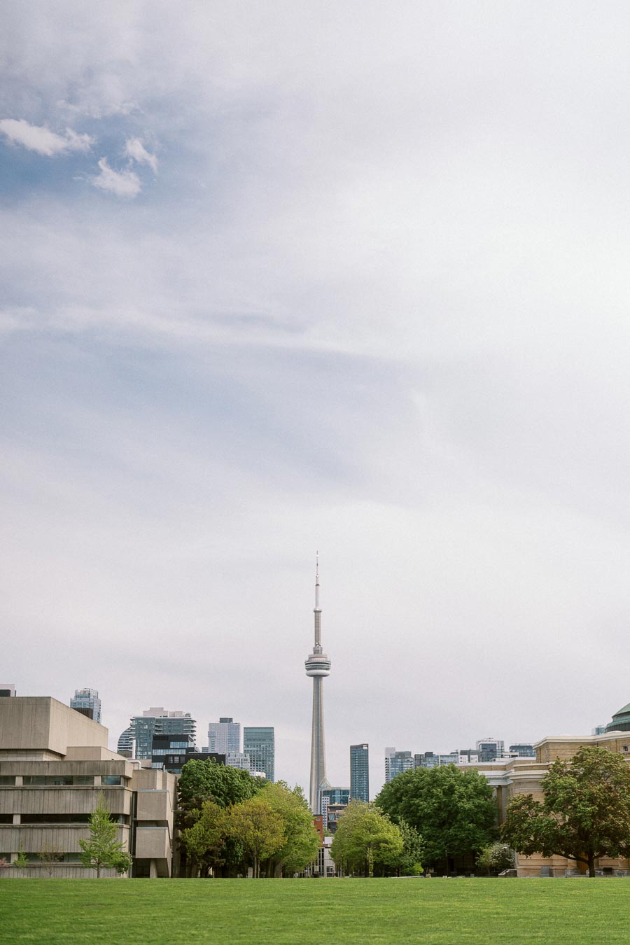 Wide view of the University of Toronto campus lawn with the CN Tower and city skyline visible in the background.