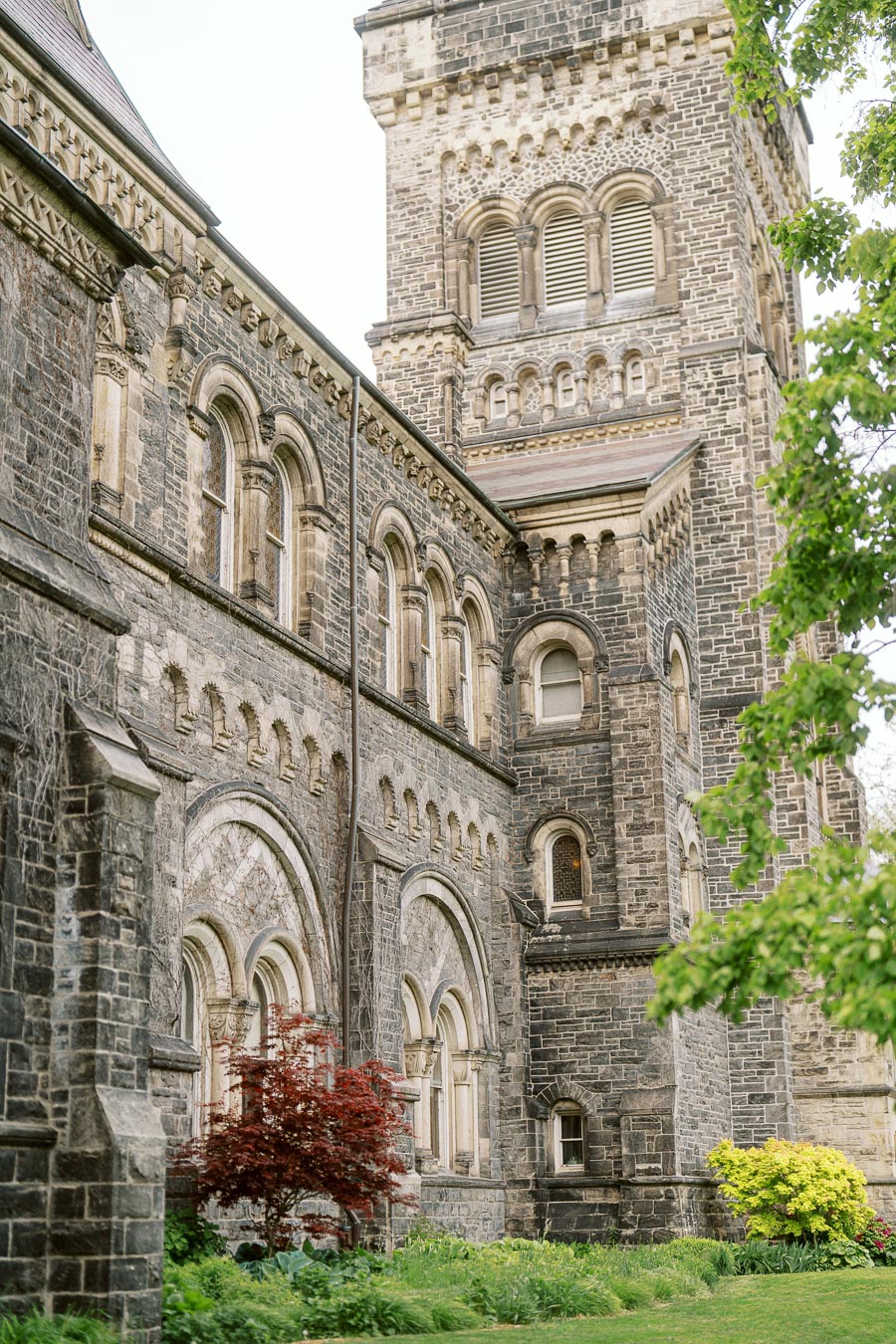 The image shows the historic stone architecture and arched windows of a University of Toronto building, framed by green trees and shrubs in spring.