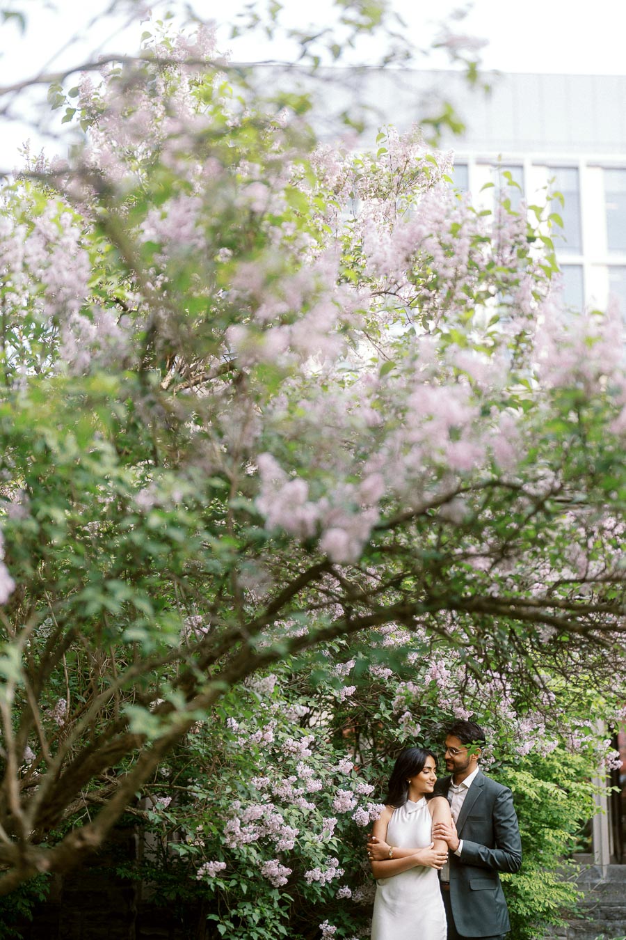 A couple stands closely together under blooming lilac trees at the University of Toronto, surrounded by lush spring foliage.