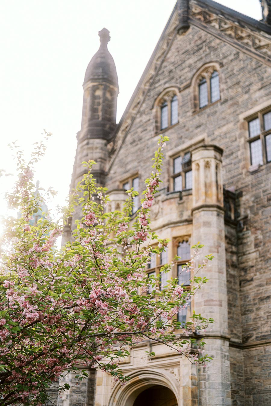 Pink blossoms on a tree in front of a historic stone building with arched windows at the University of Toronto St. George campus.