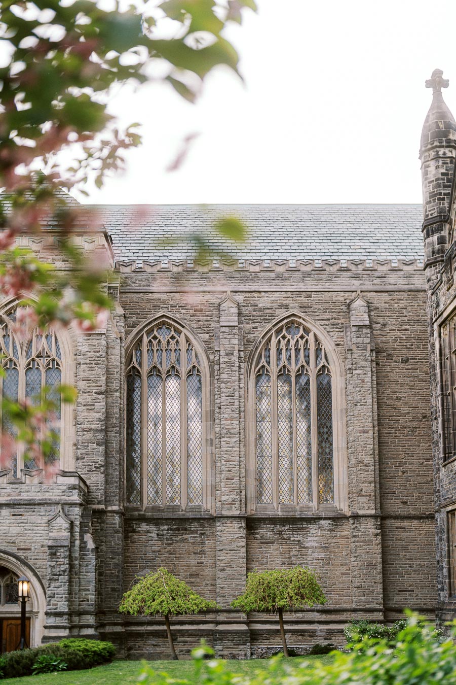 Tall Gothic arched stone windows and historic architecture at University of Toronto St. George campus, with green shrubs and spring foliage in the foreground.