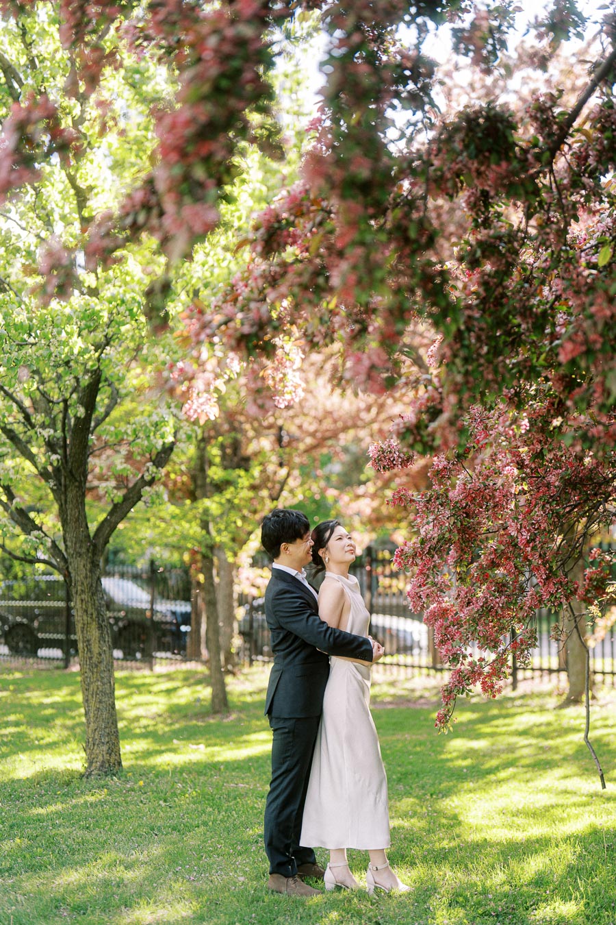 Engaged couple standing close together under blooming pink flowering trees in Trillium Park, Toronto, with sunlight filtering through spring leaves.