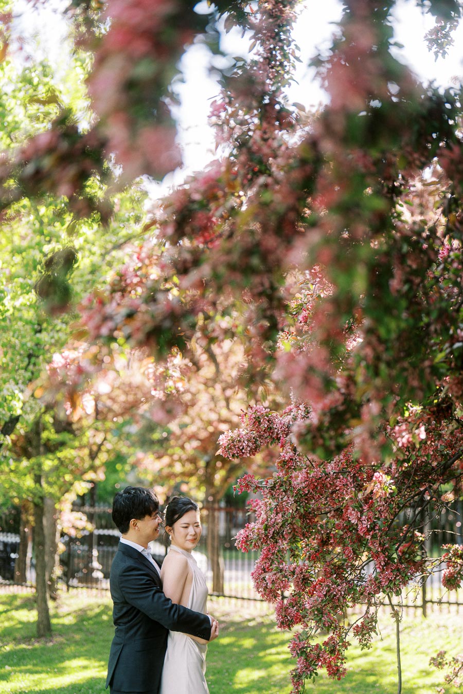 Engaged couple stands close together under pink flowering trees in Trillium Park, Toronto, with dappled sunlight and spring foliage in the background.