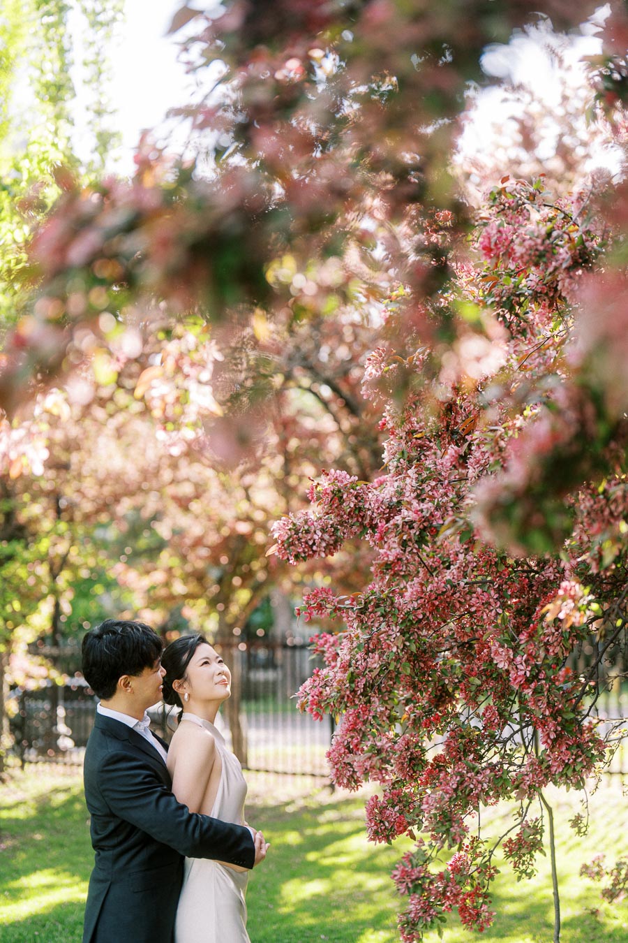 Engaged couple embracing under blooming pink trees at Trillium Park in Toronto, with soft sunlight and spring greenery in the background.
