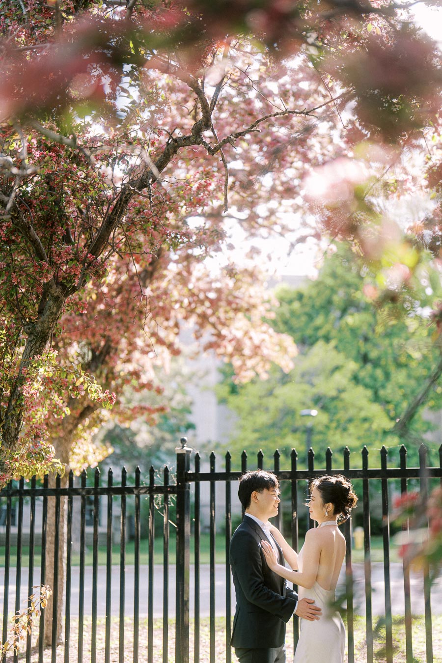 Asian engaged couple standing close together under pink flowering trees at Trillium Park in Toronto, with sunlight filtering through the branches.