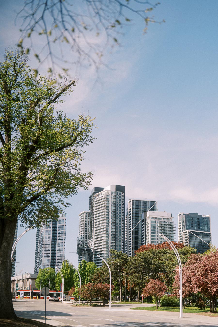 Toronto skyline with modern high-rise buildings, leafy spring trees, and blue sky seen from Trillium Park near the waterfront.