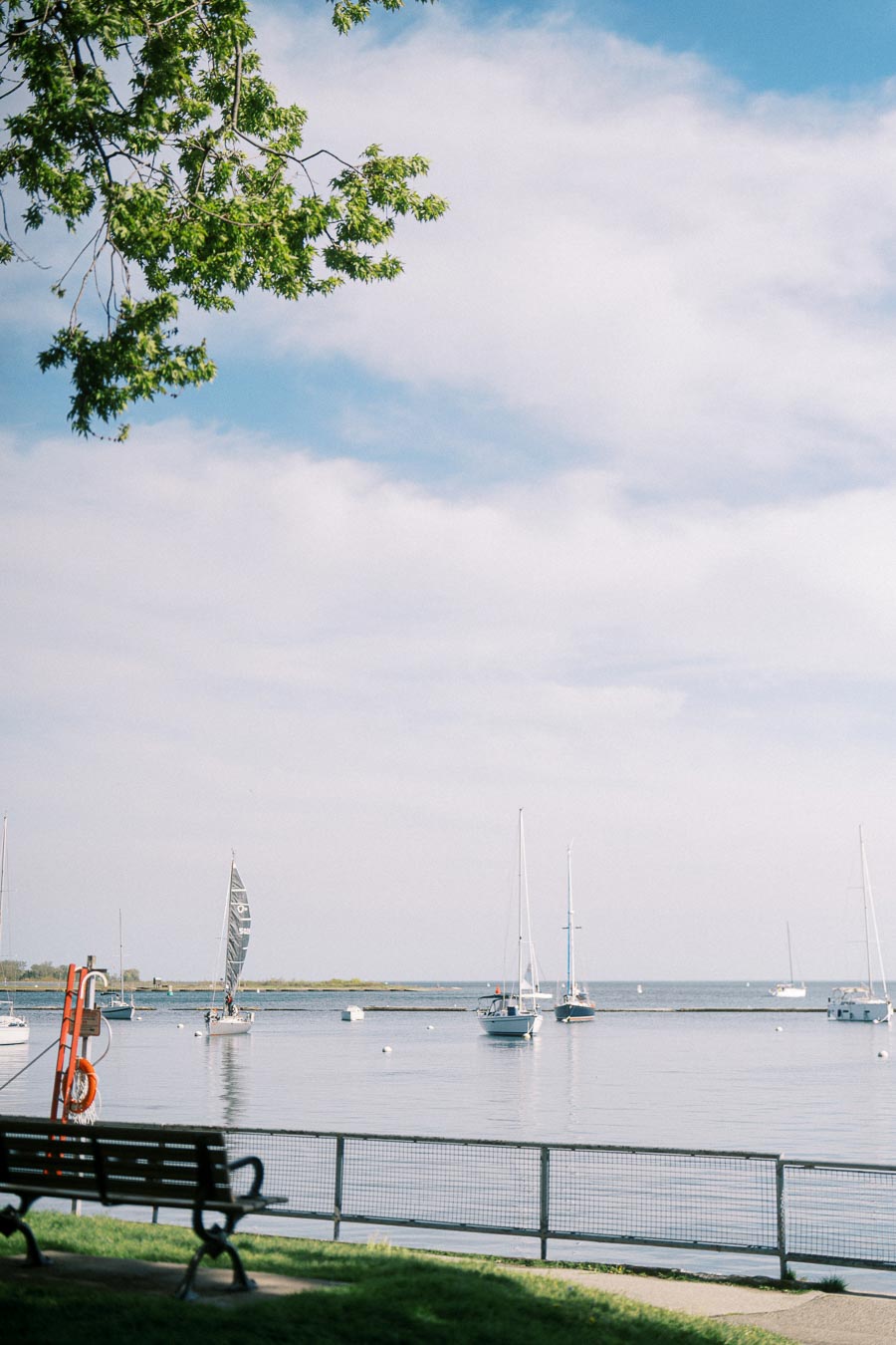 View of sailboats anchored in the marina at Trillium Park, Toronto, with a park bench, green tree branches, and calm water under a blue sky.