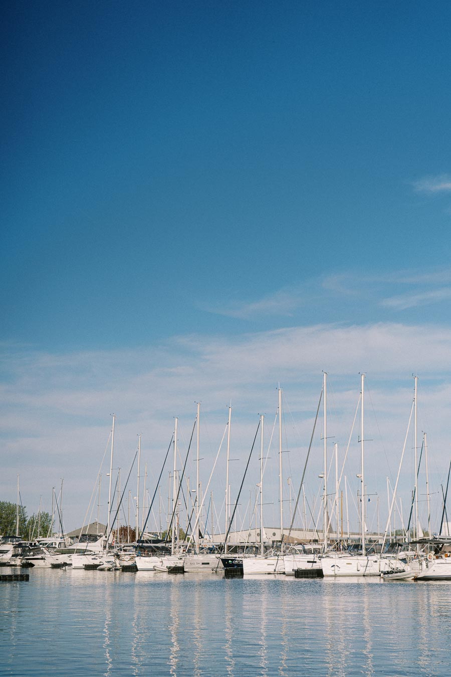 Sailboats lined up at the marina on Toronto's waterfront, with blue sky and calm water reflecting the masts, captured in spring at Trillium Park.