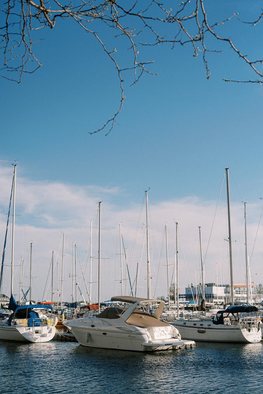 Sailboats and yachts docked at the marina in Trillium Park, Toronto, with blue sky and tree branches above on a sunny spring day.
