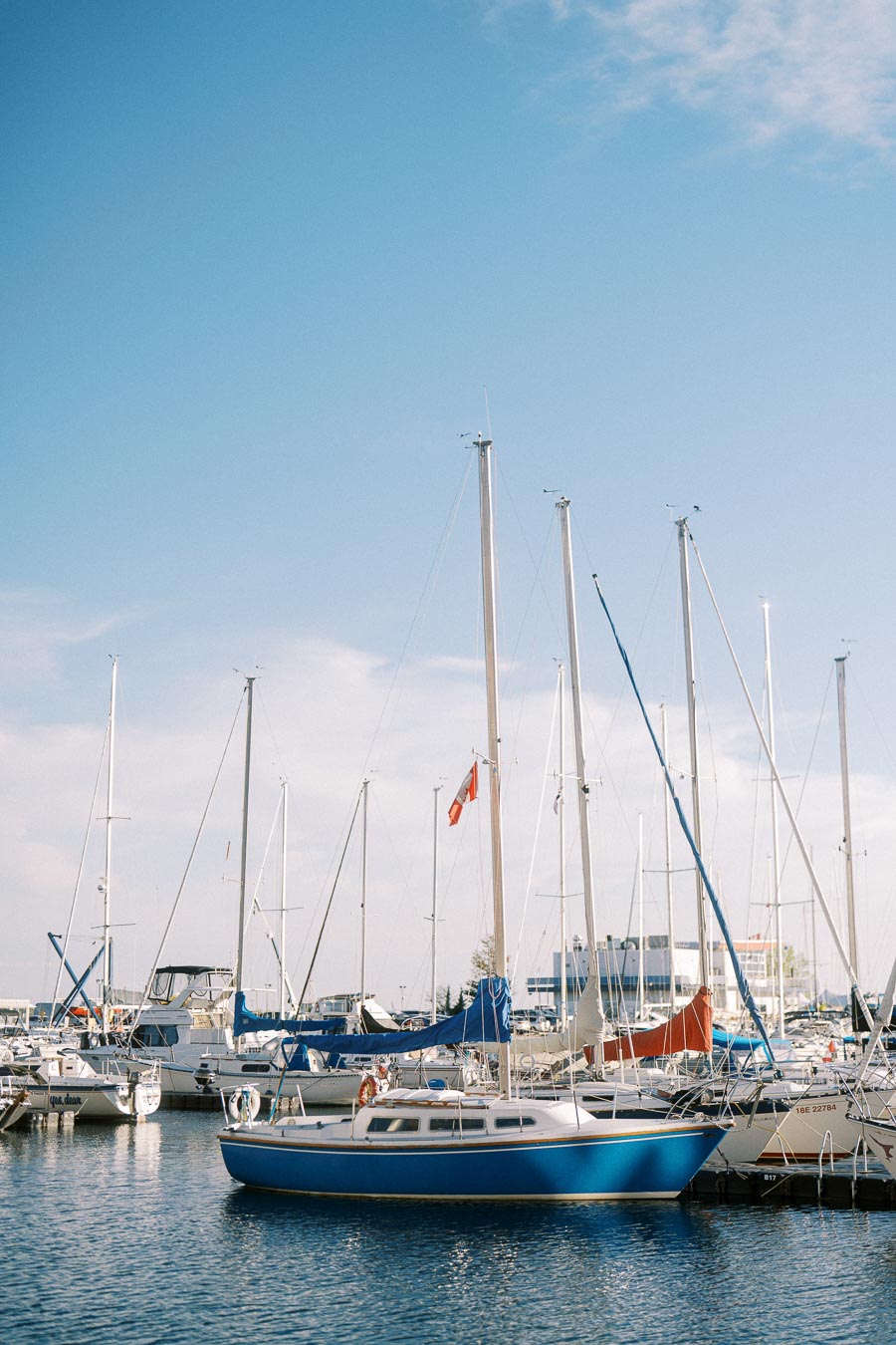 Sailboats docked at Trillium Park marina in Toronto, with clear blue skies and sunlight reflecting on the calm water.