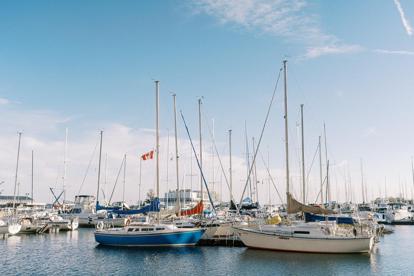 Sailboats docked at the Trillium Park marina in Toronto, with a Canadian flag and clear blue sky overhead, calm water reflecting the boats.