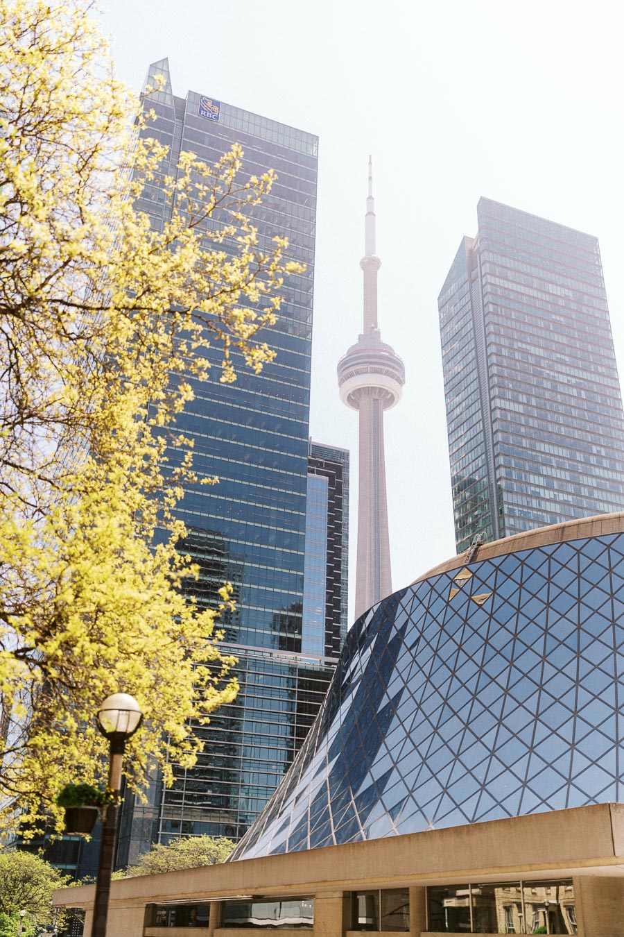Toronto cityscape with CN Tower, glass buildings, Roy Thomson Hall, and spring trees under clear sunlight.